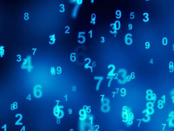 MARKET DATA PULSE 2025年第3四半期号